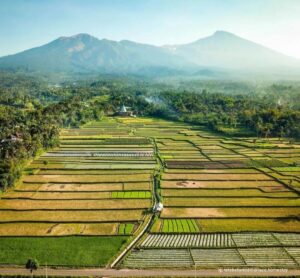 Desa Wisata Tete Batu Lombok Timur: Menjelajahi Desa dengan Pemandangan Pegunungan yang Menakjubkan
