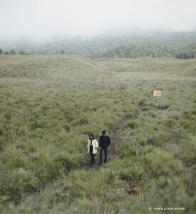 Savana Propok: Surga di Tengah Padang Rumput yang Menakjubkan