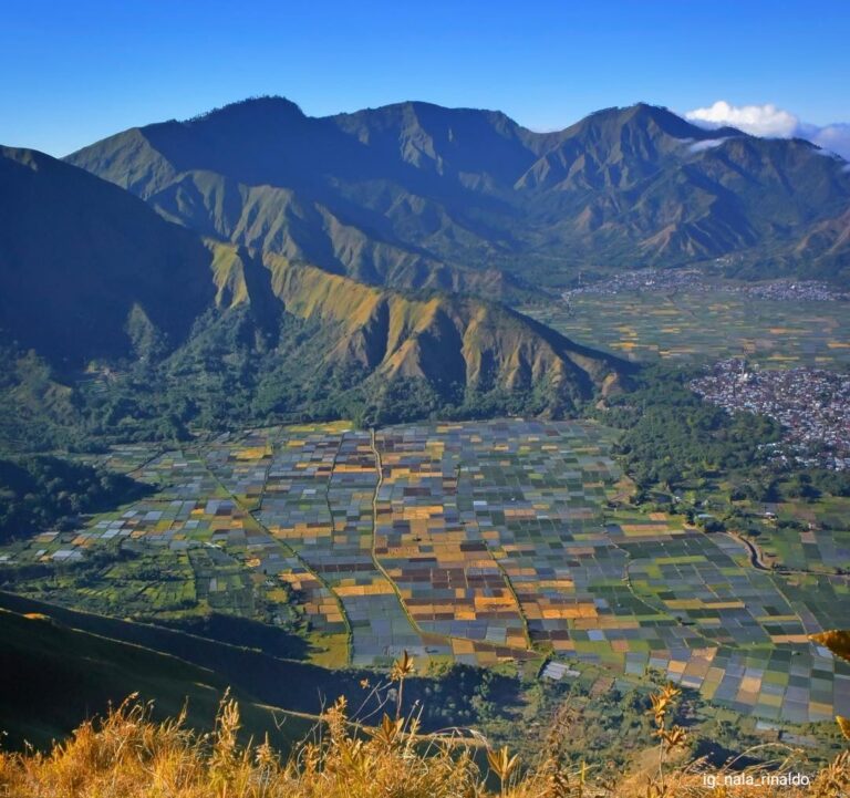 Bukit Pergasingan: Destinasi Wisata Bagi Para Pendaki Pemula.