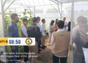 UD. Sasak Tani, Percontohan Pertanian Organik di Lombok Barat, Dikagumi Perwakilan PBB