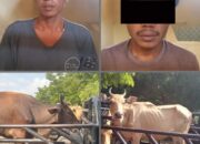 Dua dari Enam Terduga Komplotan Pencurian Hewan Ternak Berhasil Diamankan Personel Polsek Soromandi