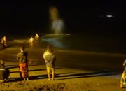 Panit Samapta Polsek Peringgabaya dan Anggota Piket Jaga Pantau Evakuasi Ikan Paus yang Terdampar