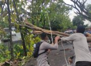 TNI – Polri Bersama BPBD Evakuasi Pohon Tumbang Di Jalan Raya Jurang Jaler-Pegadang