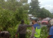 Cuaca Ekstrem Ancam Lombok, Polisi Gercep Pangkas Pohon di Senggigi