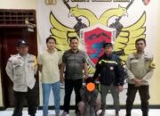 Berbagi Kebahagiaan di Bulan Suci Ramadhan, Kapolres Bima Pimpin Pembagian Takjil Berbuka Puasa