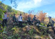 Cegah Perambahan Hutan, Personel Gabungan Terjun Laksanakan Patroli Di Kecamatan Utan