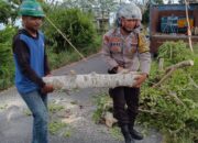 Respon Cepat Bhabinkamtibmas Desa Saba Evakuasi Pohon Tumbang Yang Menghalangi Jalan