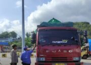 Ribuan Sapi Dikirim dari Sumbawa ke Jawa, Polsek Kawasan Pelabuhan Lembar Jamin Keamanan