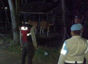 Polsek Sekotong ‘Blusukan’ ke Kandang Sapi, Beri Pesan Kamtibmas & Tips Anti Maling