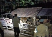 Kandang Sapi Aman Terkendali, Polsek Sekotong Tingkatkan Patroli Malam di Lombok Barat