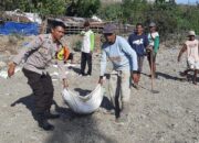 Bhabinkamtibmas Jurumapin Gotong Royong Bersama Warga Perbaiki Jalan