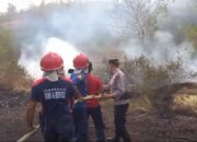Polres Loteng Bersama Dinas Damkar Berhasil Padamkan Karhutla di Kecamatan Pujut.