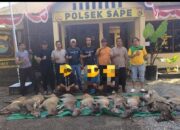 Tiga Warga Monta Diamankan, Diduga Bawa 10 Rusa dari Komodo