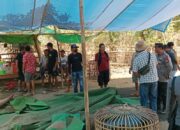 Kapolsek Rastim Pimpin Langsung Penggerebekan Judi Sabung Ayam di Wilayah Hukum Setempat