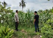 Terobosan Baru di Labuapi: Polisi Ajak Petani Maksimalkan Lahan Pekarangan