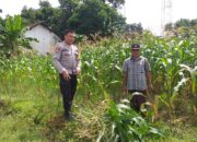 Polisi Kuripan Aktif Sosialisasi Ketahanan Pangan, Ini Langkah Konkretnya