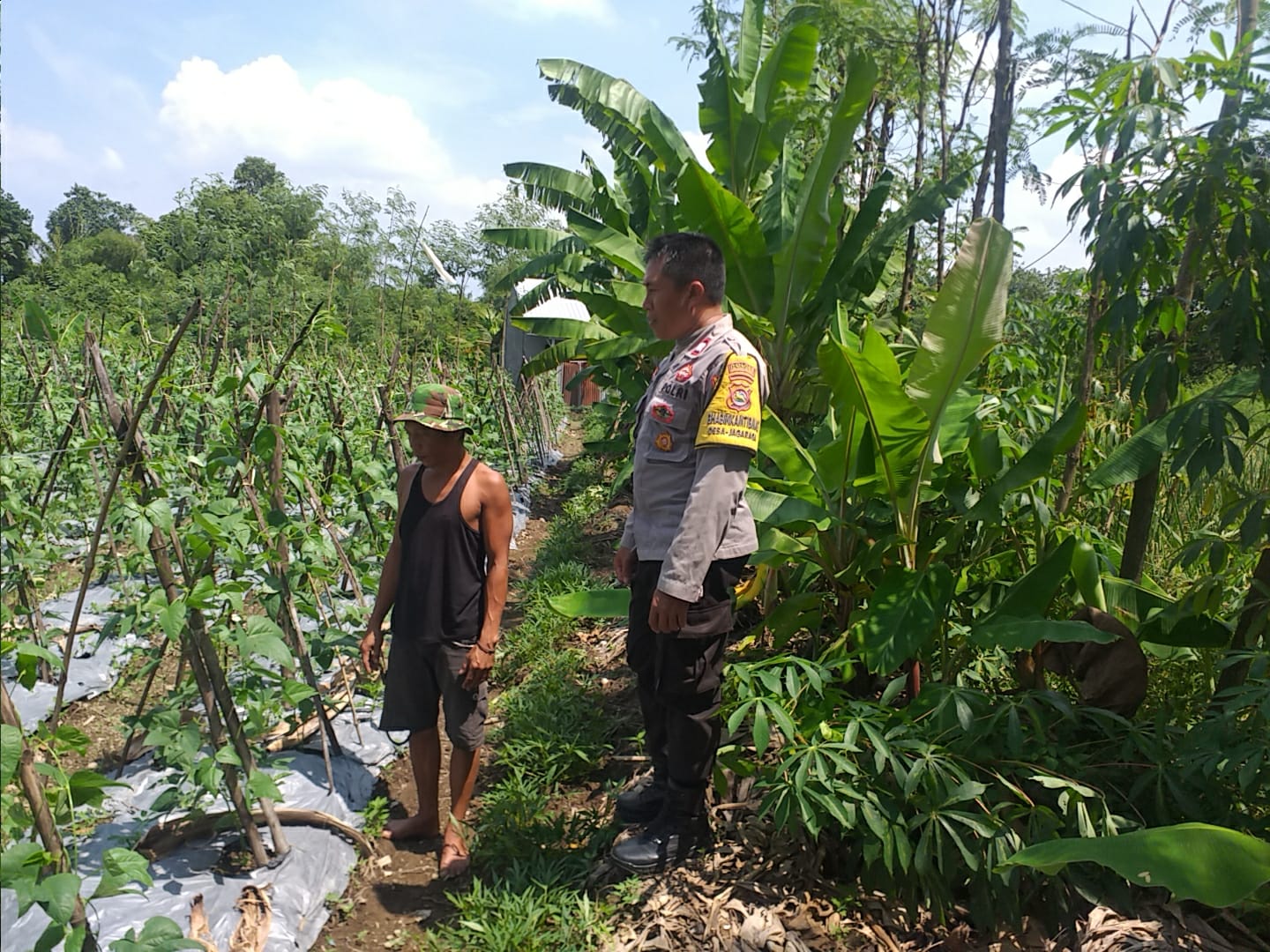 Polsek Kuripan Dorong Ketahanan Pangan, Warga Antusias!