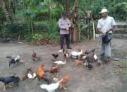 Ketahanan Pangan: Polsek Batulayar Dorong Warga Bertani di Rumah