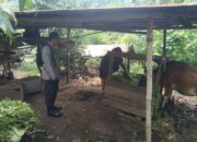 Bhabinkamtibmas Batulayar Giatkan Pemanfaatan Pekarangan, Warga Sambut Positif