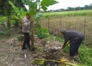 Langkah Nyata Bhabinkamtibmas Desa Jagaraga Menuju Desa Mandiri Pangan