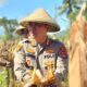 Kapolres Lombok Barat Hadiri Panen Raya Jagung, Sinergi Polri dan Petani Jaga Ketahanan Pangan