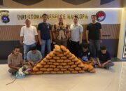Polisi Gagalkan Peredaran 47 Kg Ganja di Sumbar, 4 Tersangka Ditangkap