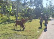 Sosialisasi P2B di Batulayar Barat, Langkah Nyata Polri Wujudkan Swasembada Pangan