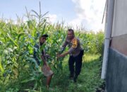 Inisiatif Polri Tingkatkan Ketahanan Pangan Melalui Pendampingan Petani Lokal