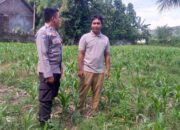 Kepolisian Kuripan Gencarkan Program Pangan Mandiri Warga