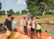 Aktif Membantu Petani di Wilayah Binaan, Bhabinkamtibmas Polsek Soromandi Dukung Penuh Program Prioritas Presiden RI