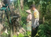 Gerung Kembangkan Pertanian dan Peternakan Demi Kemandirian Pangan