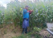 Silaturahmi Bhabinkamtibmas: Dukung Petani dan Jaga Kamtibmas