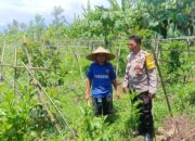 Dukung Ketahanan Pangan, Polsek Gerung Intensifkan Kunjungan Petani di Desa Beleka