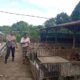 Bhabinkamtibmas Dorong Ketahanan Pangan di Dusun Merembu Tengah
