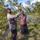 Bhabinkamtibmas Gapuk Dukung Petani Jambu Kristal di Gerung