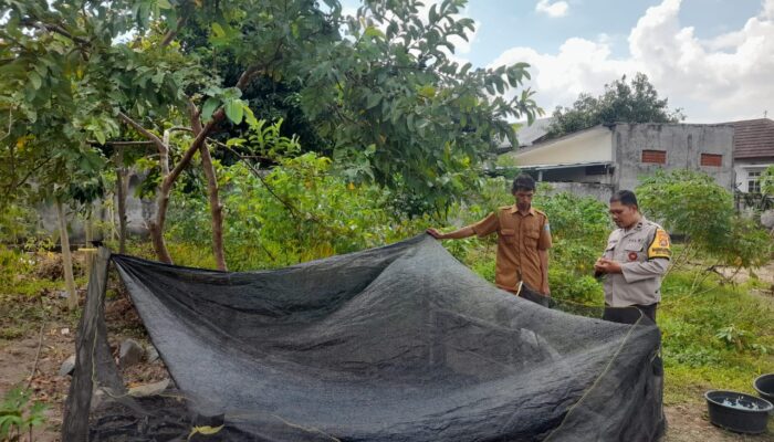 Sinergi Polisi dan Warga Gelogor Wujudkan Kemandirian Pangan Keluarga