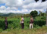 Dukung Petani Desa Giri Tembesi, Polsek Gerung Perkuat Edukasi Pertanian