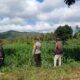 Perhatian Polri untuk Petani Lombok Barat: Edukasi dan Pendampingan Langsung