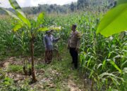 Polri Aktif Dukung Petani Sekotong Timur Wujudkan Swasembada Pangan