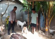 Optimalisasi Lahan Kosong untuk Ketahanan Pangan Desa Senggigi