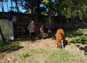 Sinergi Polisi dan Warga Wujudkan Desa Tangguh Pangan