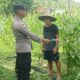 Bhabinkamtibmas Taman Baru Giat Dorong Pemanfaatan Lahan Kosong
