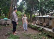 Lahan Kosong di Desa Senggigi Disulap Jadi Sumber Pangan Produktif