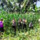 Dukung Ketahanan Pangan, Polri Hadir dalam Panen Raya Jagung NTB