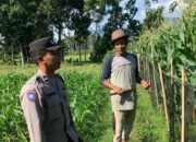 Bhabinkamtibmas Gerung Aktif Bina Petani Dukung Pangan Nasional