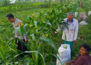 Pendekatan Humanis Polri Perkuat Ketahanan Pangan di Tingkat Desa