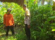 Pemanfaatan Lahan Kosong, Polri Perkuat Ketahanan Pangan NTB