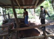 Polda NTB Perkuat Kemandirian Pangan Masyarakat Desa