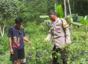Bhabinkamtibmas Kawal Ketahanan Pangan di Lombok Barat