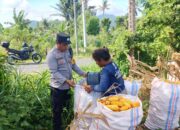 Peran Polri dalam Penguatan Pertanian Lokal NTB